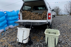 The live staking project begins!